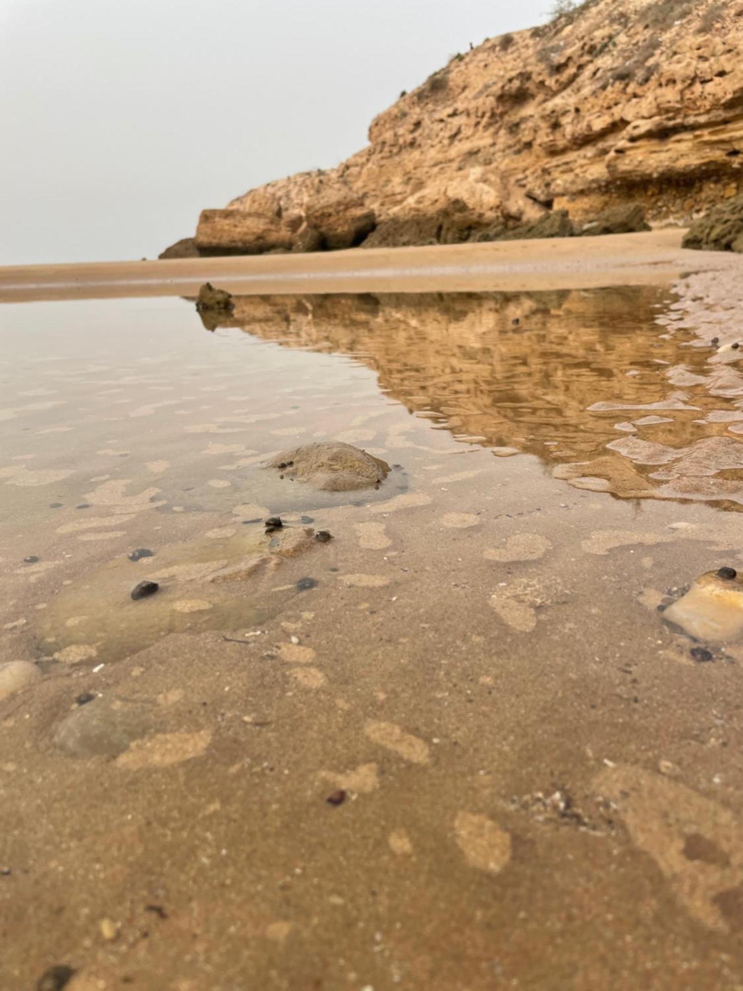 2 Appartements A Tamraght Taghazout Bay Surf Spot أورير المظهر الخارجي الصورة